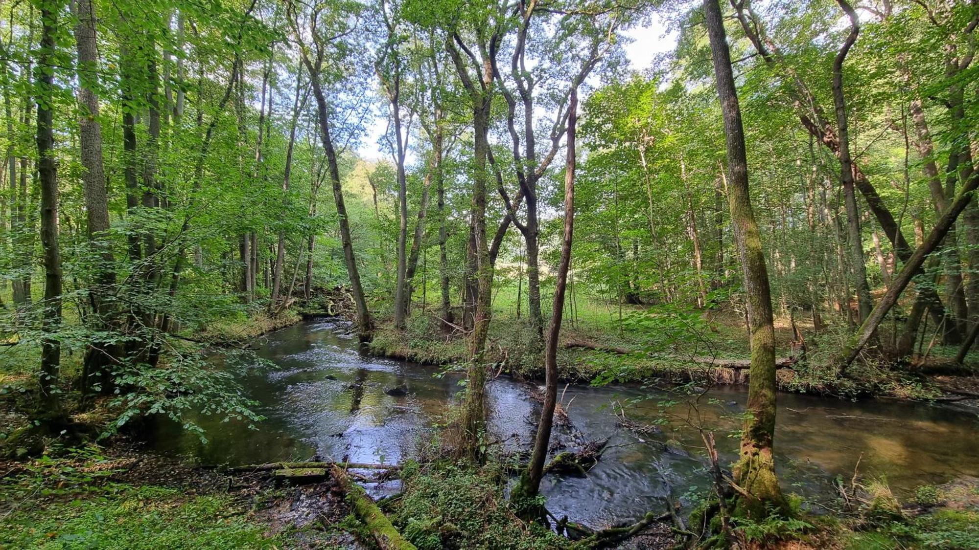 Domki Nad Morzem Lublewo21 Obok Bialogory Lublewo Leborskie Exteriér fotografie