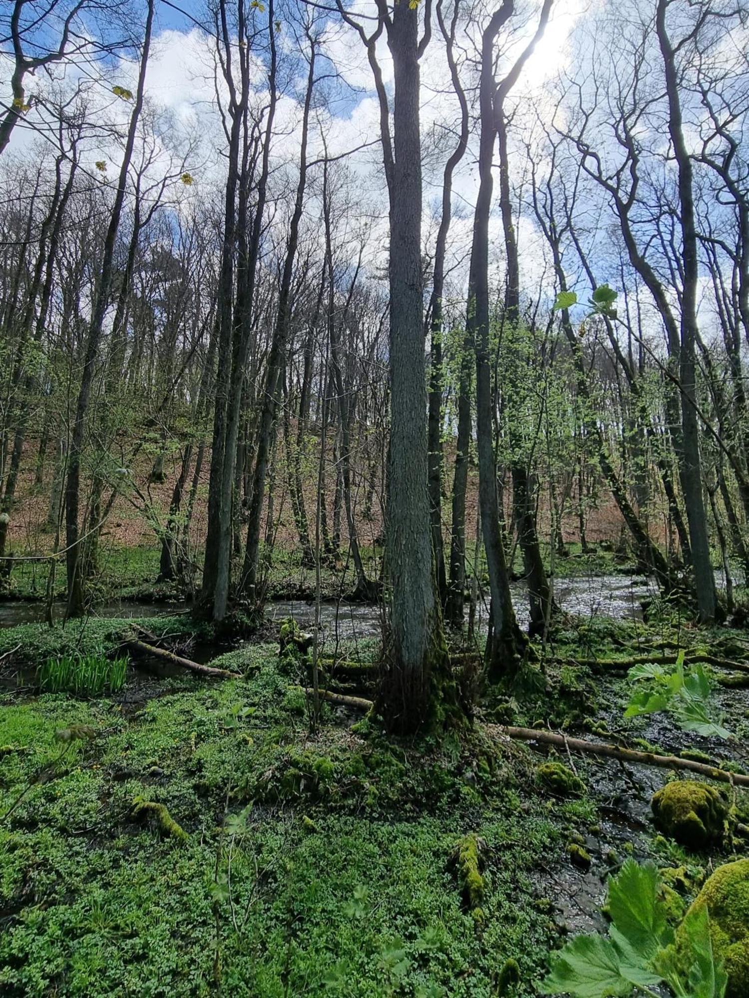Domki Nad Morzem Lublewo21 Obok Bialogory Lublewo Leborskie Exteriér fotografie